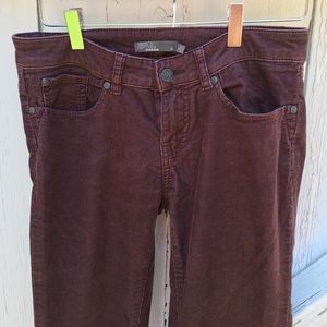 Prana Burgundy Corduroy Pants